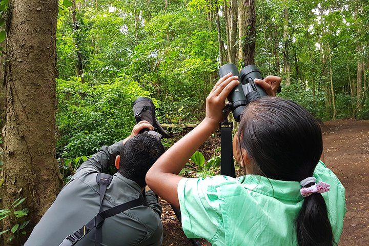 Natural History Walk - Photo 1 of 7